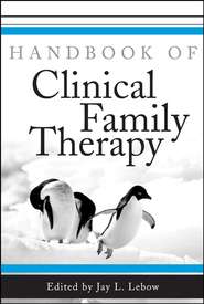 бесплатно читать книгу Handbook of Clinical Family Therapy автора 