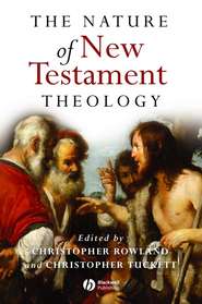 бесплатно читать книгу The Nature of New Testament Theology автора Christopher Tuckett
