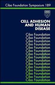 бесплатно читать книгу Cell Adhesion and Human Disease автора Joan Marsh