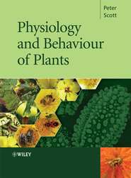 бесплатно читать книгу Physiology and Behaviour of Plants автора 