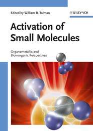 бесплатно читать книгу Activation of Small Molecules автора 