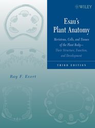 бесплатно читать книгу Esau's Plant Anatomy автора Ray Evert