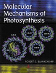 бесплатно читать книгу Molecular Mechanisms of Photosynthesis автора 