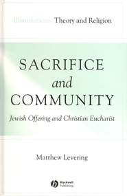 бесплатно читать книгу Sacrifice and Community автора 