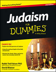 бесплатно читать книгу Judaism For Dummies автора David Blatner
