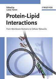 бесплатно читать книгу Protein-Lipid Interactions автора 