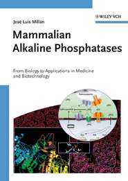 бесплатно читать книгу Mammalian Alkaline Phosphatases автора 