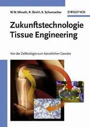 бесплатно читать книгу Zukunftstechnologie Tissue Engineering автора Will Minuth