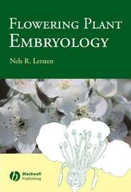 бесплатно читать книгу Flowering Plant Embryology автора 