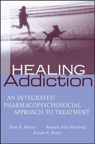бесплатно читать книгу Healing Addiction автора Peter Martin