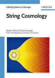 бесплатно читать книгу String Cosmology автора 
