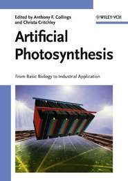 бесплатно читать книгу Artificial Photosynthesis автора Christa Critchley