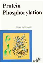 бесплатно читать книгу Protein Phosphorylation автора 