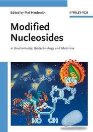 бесплатно читать книгу Modified Nucleosides автора 