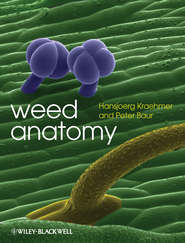 бесплатно читать книгу Weed Anatomy автора Hansjoerg Kraehmer