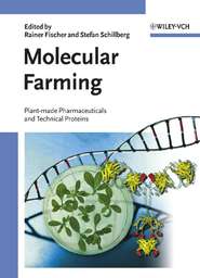 бесплатно читать книгу Molecular Farming автора Rainer Fischer