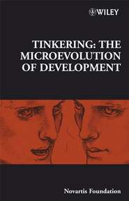 бесплатно читать книгу Tinkering автора Gregory Bock