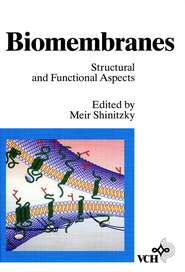 бесплатно читать книгу Biomembranes, Biomembranes автора 