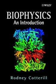 бесплатно читать книгу Biophysics автора 