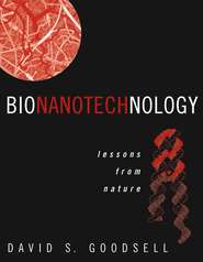 бесплатно читать книгу Bionanotechnology автора 