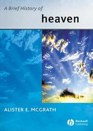 бесплатно читать книгу A Brief History of Heaven автора 