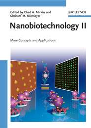 бесплатно читать книгу Nanobiotechnology II автора Chad Mirkin