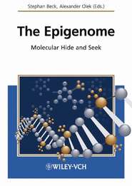 бесплатно читать книгу The Epigenome автора Stephan Beck