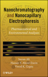 бесплатно читать книгу Nanochromatography and Nanocapillary Electrophoresis автора Imran Ali