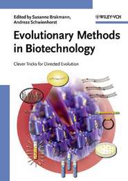 бесплатно читать книгу Evolutionary Methods in Biotechnology автора Susanne Brakmann