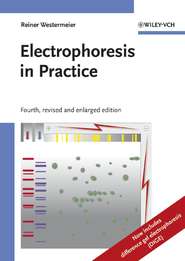 бесплатно читать книгу Electrophoresis in Practice автора 