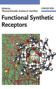 бесплатно читать книгу Functional Synthetic Receptors автора Thomas Schrader