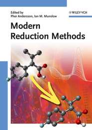 бесплатно читать книгу Modern Reduction Methods автора Pher Andersson