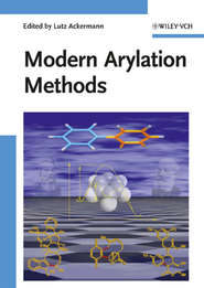 бесплатно читать книгу Modern Arylation Methods автора 