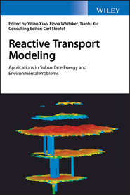 бесплатно читать книгу Reactive Transport Modeling автора Yitian Xiao