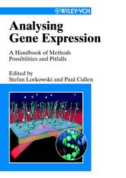 бесплатно читать книгу Analysing Gene Expression, A Handbook of Methods автора Stefan Lorkowski