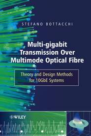 бесплатно читать книгу Multi-Gigabit Transmission over Multimode Optical Fibre автора 