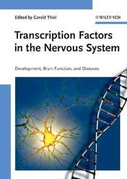 бесплатно читать книгу Transcription Factors in the Nervous System автора 