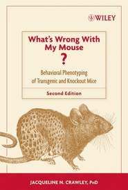 бесплатно читать книгу What's Wrong With My Mouse? автора 