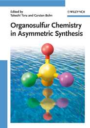 бесплатно читать книгу Organosulfur Chemistry in Asymmetric Synthesis автора Carsten Bolm