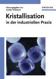 бесплатно читать книгу Kristallisation in der industriellen Praxis автора Günter Hofmann