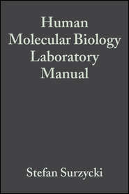 бесплатно читать книгу Human Molecular Biology Laboratory Manual автора Stefan Surzycki