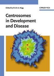 бесплатно читать книгу Centrosomes in Development and Disease автора Erich Nigg