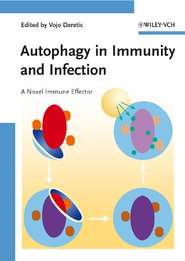 бесплатно читать книгу Autophagy in Immunity and Infection автора Vojo Deretic