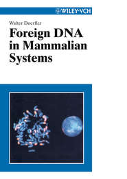 бесплатно читать книгу Foreign DNA in Mammalian Systems автора Walter Doerfler