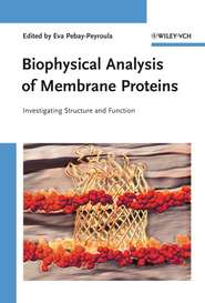 бесплатно читать книгу Biophysical Analysis of Membrane Proteins автора Eva Pebay-Peyroula