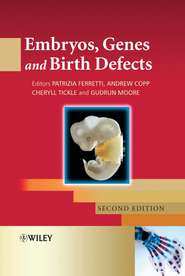 бесплатно читать книгу Embryos, Genes and Birth Defects автора Patrizia Ferretti