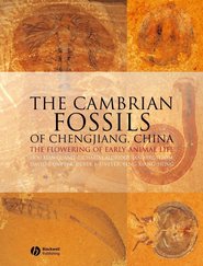 бесплатно читать книгу The Cambrian Fossils of Chengjiang, China автора Jan Bergstrom