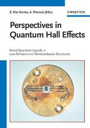 бесплатно читать книгу Perspectives in Quantum Hall Effects автора Aron Pinczuk