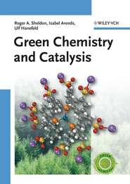 бесплатно читать книгу Green Chemistry and Catalysis автора Isabella Arends