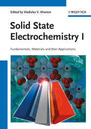 бесплатно читать книгу Solid State Electrochemistry I автора Vladislav Kharton